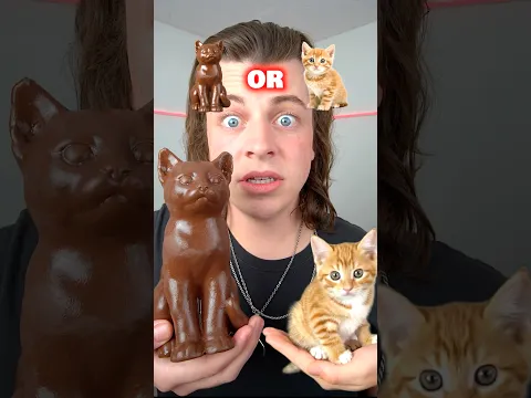 Chocolate OR Real Animals!? 🐶😳