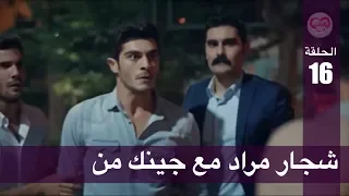 الحب لا يفهم الكلام الحلقة 16 شجار مراد مع جينك من 