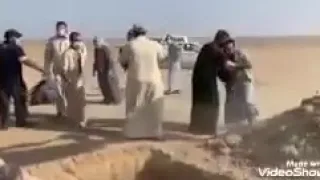 صار العمر ضيجت خلك شيردهه لمتنه الملا علي الساعدي 