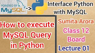 How to execute MySQL query in Python Lecture 01 Interface Python with MySQL Class 12 Board