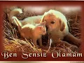 Seni Ne Cok Sevdigimi Bir Ben Bir Allah bilir