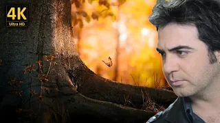 وائل جسار   ع الجمر   مع كلمات الاغنية   من نوفلن البناء دندنها