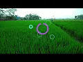 Download Lagu DJ MALANG CITY PRODUSER CLUB  - DJ TIK TOK VIRAL FUL BASS