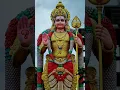 Download Lagu maruthamalai sathiyama arupadai shanmuga song 🙏||murugan songs |#shortsfeed 2023