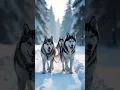 Download Lagu Lapland: Chase Auroras \u0026 Savor Arctic Wonders