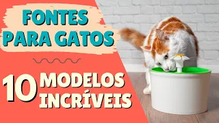MELHORES FONTES DE ÁGUA PARA GATOS. Confira opções de BEBEDOUROS PARA GATOS para todos os bolsos!