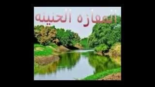 المفازة الغاليه 