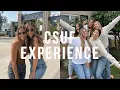 MY CSUF EXPERIENCE major sorority more