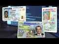 Experts warn that thieves are targeting your driver s license for personal information