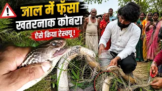 देखिए फिर से वही खतरनाक मंजर, जाल में फंसे जहरीले नाग को इस बार कैसे रेस्क्यू किए, मुरलीवाले हौसला!😱