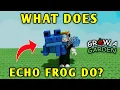 Download Lagu What Does Echo Frog Do In Grow A Garden | Roblox