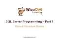 SQL Server Programming Part 1 - Stored Procedure Basics