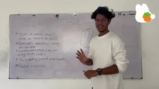 Rabbit Problem Fibonacci Sequence Recursive vs Iterative Approach