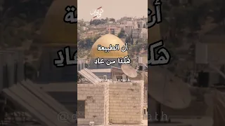  فلسطين  الروح هل تعرف من صاحب الأبيات  دندنها