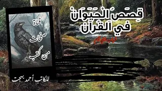قصص الحيوان في القرآن غراب ابني آدم صفحات من كتب  قصص الحيوان في القرآن غراب ابني آدم صفحات من كتب