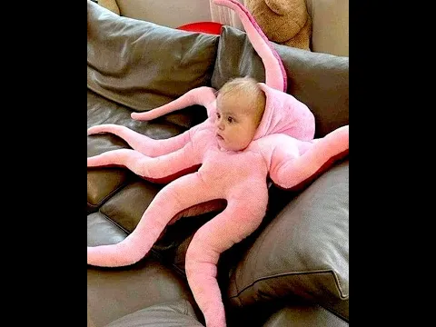 Octo-Baby, Defender of the Couch Reddit Reactions