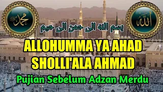 allohumma ya ahad sholliala ahmad pujian populer merdu