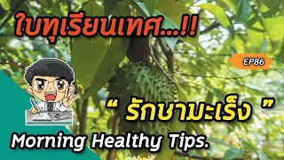 ทำไมการใช้ใบทุเรียนเทศแบบต้มดื่มถึงไม่ค่อยมีผลต่อการรักษามะเร็งเท่ากับแบบสกัดเข้มข้น