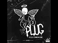 Plug