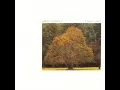 Rain Sequence (From the Townshend Shuffle) - Will Ackerman
