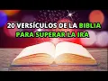 20 Versiculos de la BIBLIA para Superar la Ira La BIBLIA Lo Explica