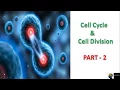 ICSE Class 10th Biology - Cell Cycle Cell Division Part 2