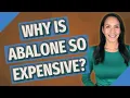 Why is abalone so expensive