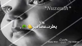 شيلةه قلبي طفل غاوي 