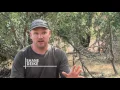 How to Make the Most of Your Small Deer Lease - Clark Wendlandt