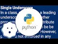 What is the meaning of single and double underscore before an object name