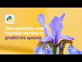 How Scientists Used Machine Learning to Predict the Species of Irises A Tutorial