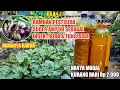Download Lagu Ramuan Pestisida Super Ampuh Berfungsi Sebagai Insektisida dan Fungisida | Hama \u0026 Jamur KO
