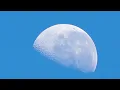 Newport - Fickle (Visualizer)