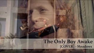 Download [COVER] - The Only Boy Awake (Meadows) MP3