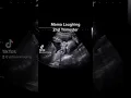 Mama Laughing during ultrasound