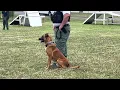Area K-9 Unit Training in Toms River New Jersey