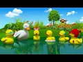 Download Lagu Cinco patinhos | rimas de berçário | Bob The Train Squared | portuguesas rimas | Five Little Ducks
