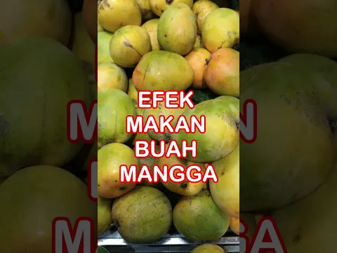 Inilah Efek Makan Buah Mangga #permanacuy
