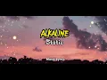 Alkaline- Static (Lyric Video)
