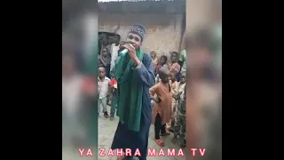 m shehi mai tajul izzi mjlc