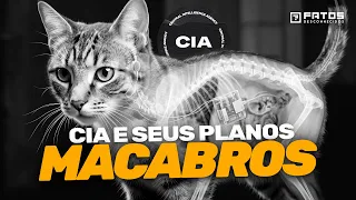 Os maiores sucessos da CIA