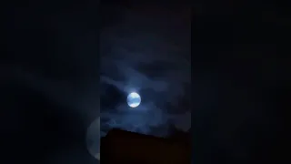 القمر منظر رائع وجميل Shorts 