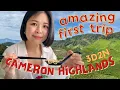 Download Lagu malaysia travel vlog: FIRST cameron highlands trip! | ALPACA FEEDING, scenic tea farms | road trip