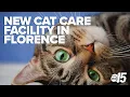 Lucky Dog Animal Rescue opens new cat care facility in Florence