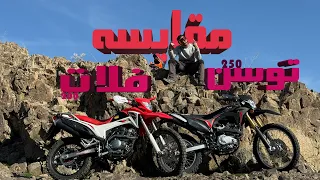                                                         دندنها