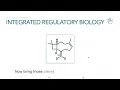 One Molecule Multiple Systems Why BCP Is Getting Attention in Medicine