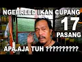 Lagu NGAWININ IKAN CUPANG 17 INDUKAN APA AJA TUH ?????