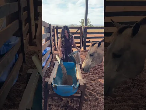 Rotina na roça 🐮