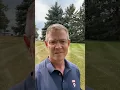 Minnesota primary plans