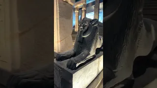 29 January 2025 The GEM The Grand Egyptian Museum Travel Museum Statue History 